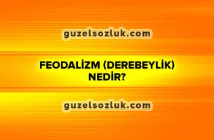 Feodalizm (Derebeylik) Nedir?