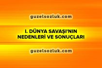 I. Dünya Savaşı'nın Nedenleri ve Sonuçları