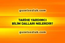 Tarihe Yardımcı Bilim Dalları Nelerdir?