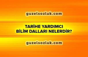 Tarihe Yardımcı Bilim Dalları Nelerdir?