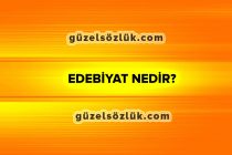 Edebiyat nedir? Edebiyatın Tanımı, Türleri, Özellikleri