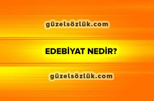 Edebiyat nedir? Edebiyatın Tanımı, Türleri, Özellikleri