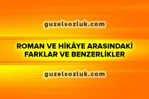roman ve hikaye
