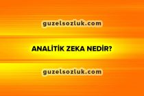 Analitik Zeka Nedir?