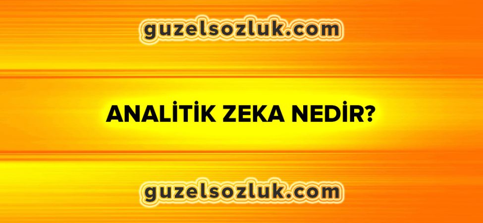 Analitik Zeka Nedir?