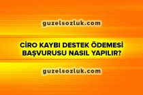 Ciro Kaybı Destek Ödemesi Başvurusu Nasıl Yapılır?