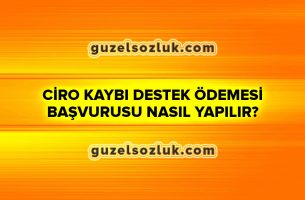 Ciro Kaybı Destek Ödemesi Başvurusu Nasıl Yapılır?