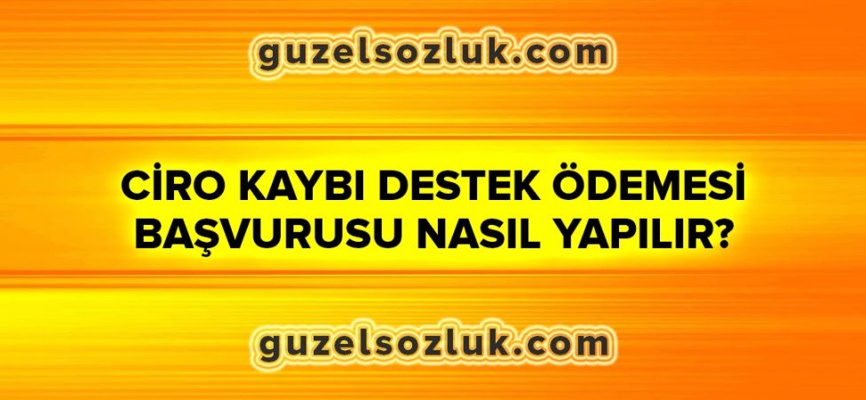 Ciro Kaybı Destek Ödemesi Başvurusu Nasıl Yapılır?