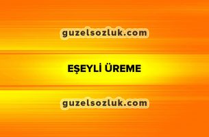 Eşeyli-Üreme