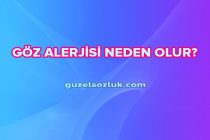 Göz Alerjisi Neden Olur?