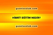 Hibrit-Eğitim-Nedir