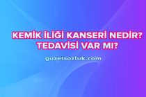 Kemik İliği Kanseri Nedir? Tedavisi Var mı?