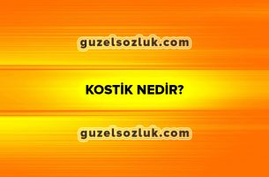 Kostik-Nedir