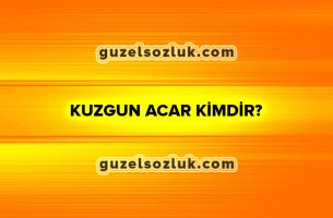 Kuzgun Acar Kimdir?
