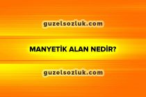 Manyetik Alan Nedir?