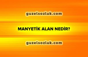 Manyetik Alan Nedir?