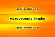 Me Too Hareketi Nedir?