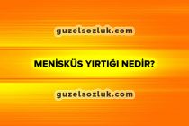 Menisküs Yırtığı Nedir?