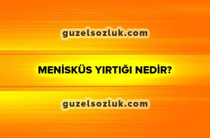 Menisküs Yırtığı Nedir?