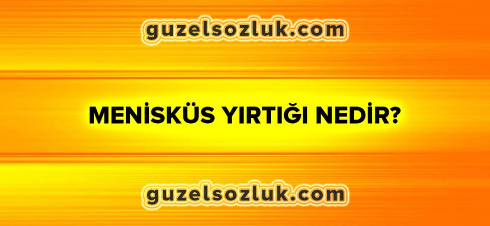 Menisküs Nedir?