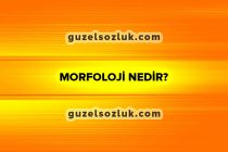 Morfoloji Nedir?