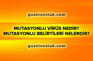 Mutasyonlu Virüs Nedir? Mutasyonlu Belirtileri Nelerdir?