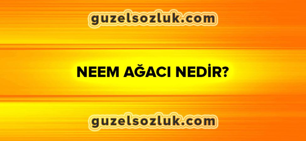 Neem Ağacı Nedir?