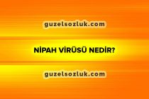 Nipah Virüsü Nedir?