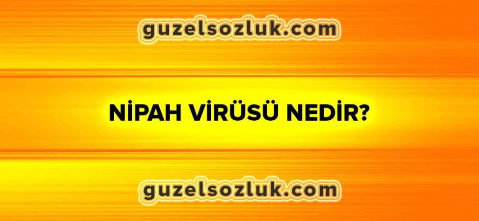 Nipah Virüsü Nedir?