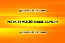 Petek Temizliği Nasıl Yapılır?