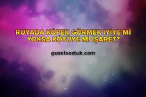 Rüyada Köpek Görmek