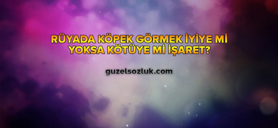 Rüyada Köpek Görmek İyiye mi yoksa Kötüye mi İşarettir?