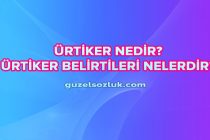 Ürtiker Nedir? Ürtiker Belirtileri Nelerdir?