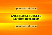 Anadolu'da Kurulan ilk Türk Beylikleri