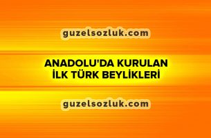 Anadolu'da Kurulan ilk Türk Beylikleri