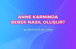 Anne Karnında Bebek Nasıl Oluşur?