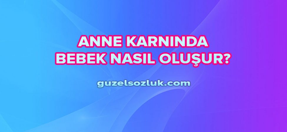 Anne Karnında Bebek Nasıl Oluşur?