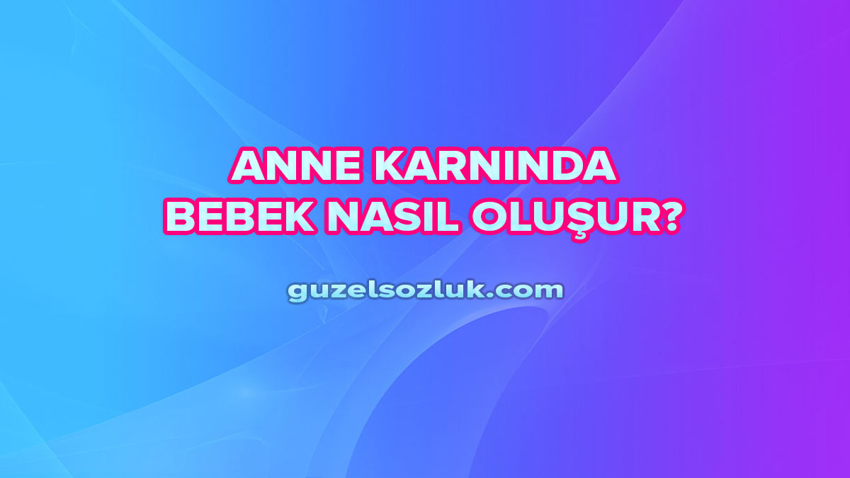 Anne Karnında Bebek Nasıl Oluşur? Güzel Sözlük