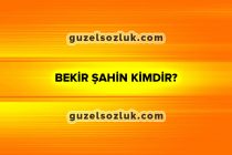 Bekir Şahin Kimdir?
