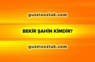 Bekir Şahin Kimdir?