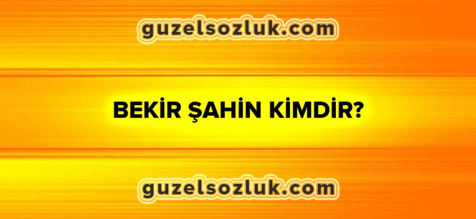Bekir Şahin Kimdir?