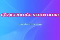 Göz Kuruluğu Neden Olur?