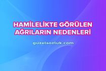 Hamilelikte Görülen Ağrıların Nedenleri