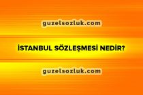 İstanbul Sözleşmesi nedir