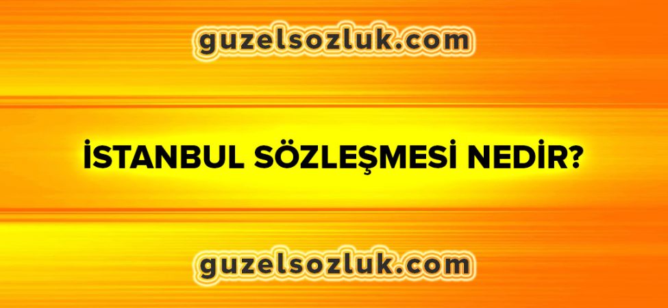 İstanbul Sözleşmesi Nedir? İstanbul Sözleşmesi’nin Maddeleri