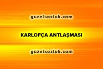 Karlofça Antlaşması: Nedenleri, Maddeleri ve Sonuçları