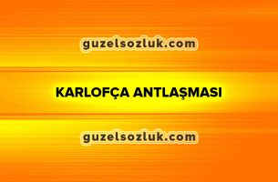 Karlofça Antlaşması: Nedenleri, Maddeleri ve Sonuçları