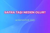 Safra Taşı Neden Olur?