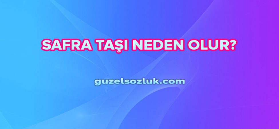 Safra Taşı Neden Olur?