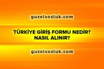 Türkiye Giriş Formu